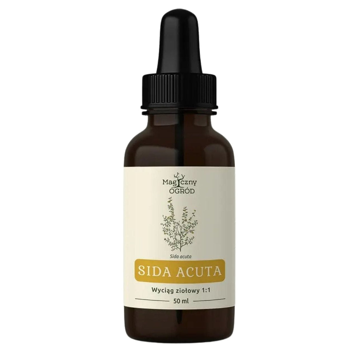 Nanga Sida Acuta Herbal Extract 1:1 - 50 ml